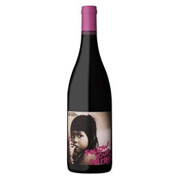 BABY BANDITO FOLLOW YOUR DREAMS (dry red wine)
